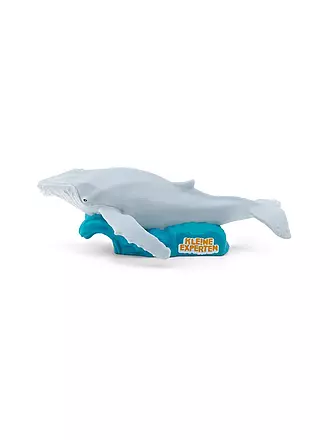 TONIES | KLE!NE EXPERTEN plongent avec les baleines | keine Farbe
